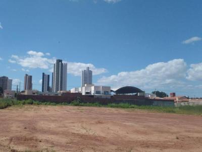 imagem-miniatura