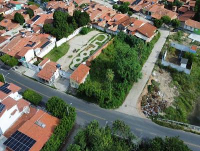 imagem-miniatura