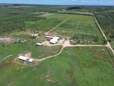 Fazenda para Venda, em Carnaubais, bairro 
