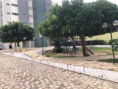 imagem-miniatura