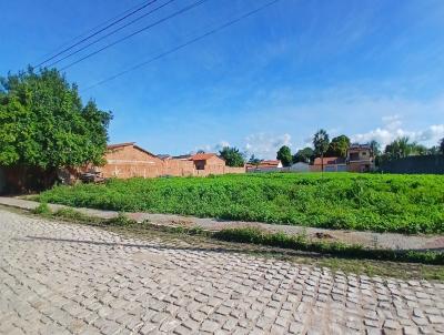 imagem-miniatura