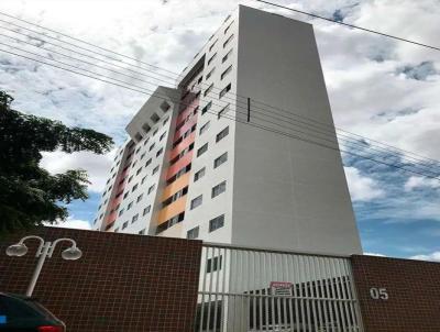 imagem-miniatura
